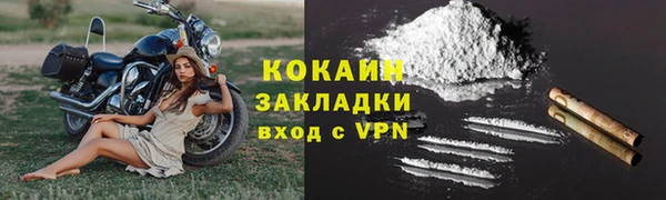 крисы Баксан